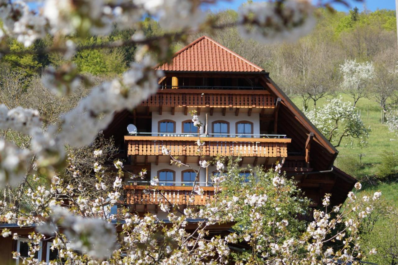 Ehrenmattlehof Faisst Aparthotel บาด ปีเตอร์สตัล กรีสบาค ภายนอก รูปภาพ