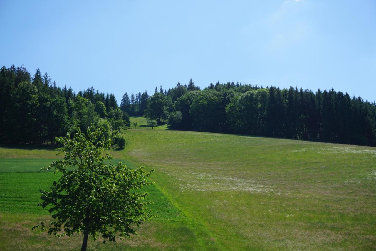 Ehrenmaettlehof Faisst Aparthotel บาด ปีเตอร์สตัล กรีสบาค ภายนอก รูปภาพ