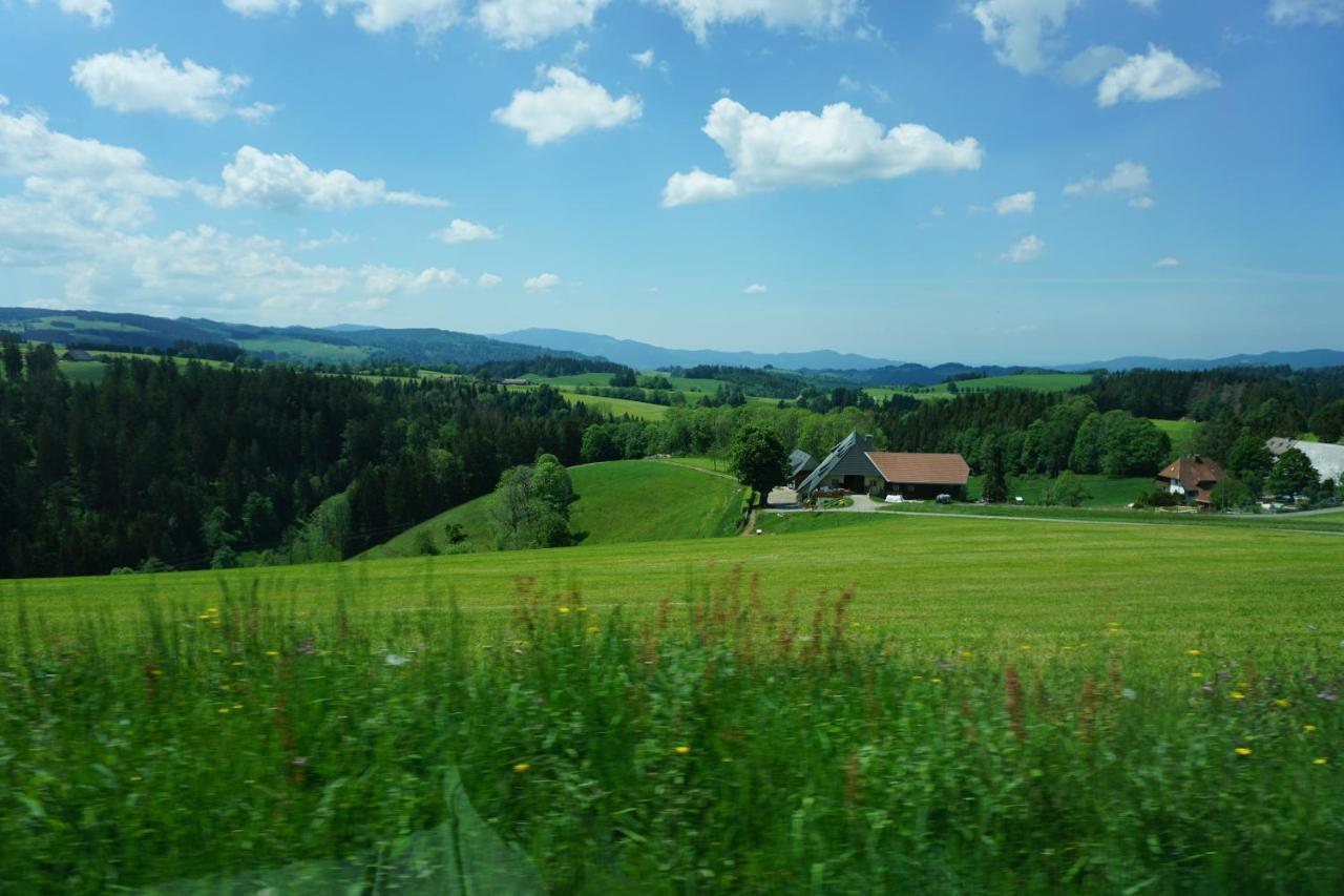 Ehrenmaettlehof Faisst Aparthotel บาด ปีเตอร์สตัล กรีสบาค ภายนอก รูปภาพ