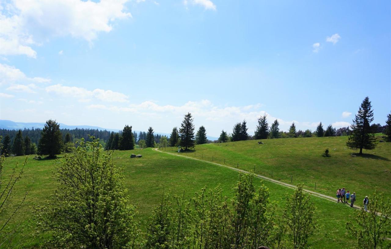 Ehrenmaettlehof Faisst Aparthotel บาด ปีเตอร์สตัล กรีสบาค ภายนอก รูปภาพ