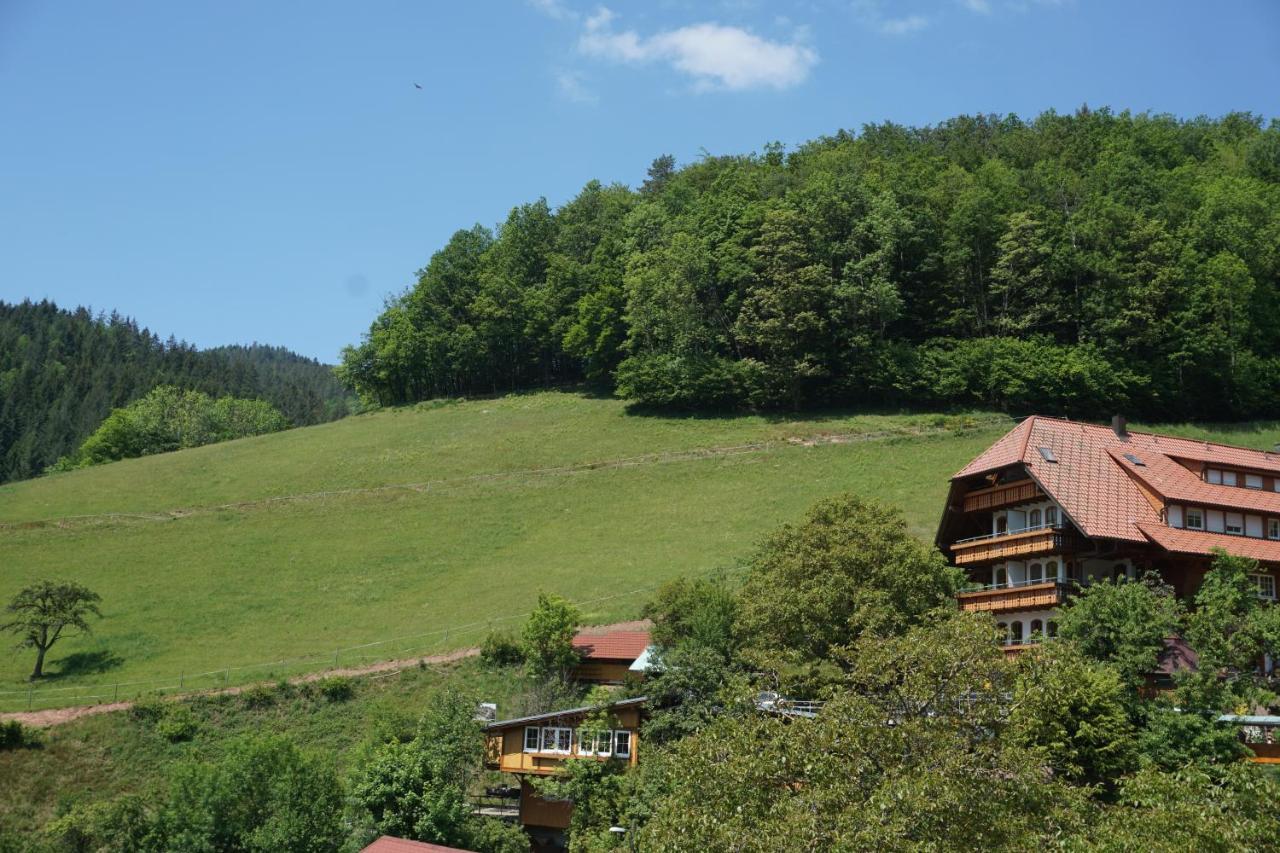 Ehrenmaettlehof Faisst Aparthotel บาด ปีเตอร์สตัล กรีสบาค ภายนอก รูปภาพ